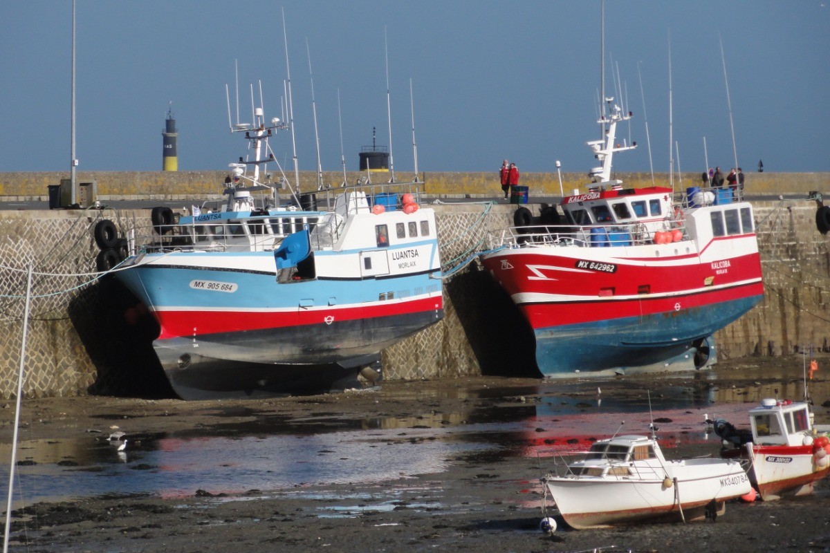 bateaux de  pêche au port
