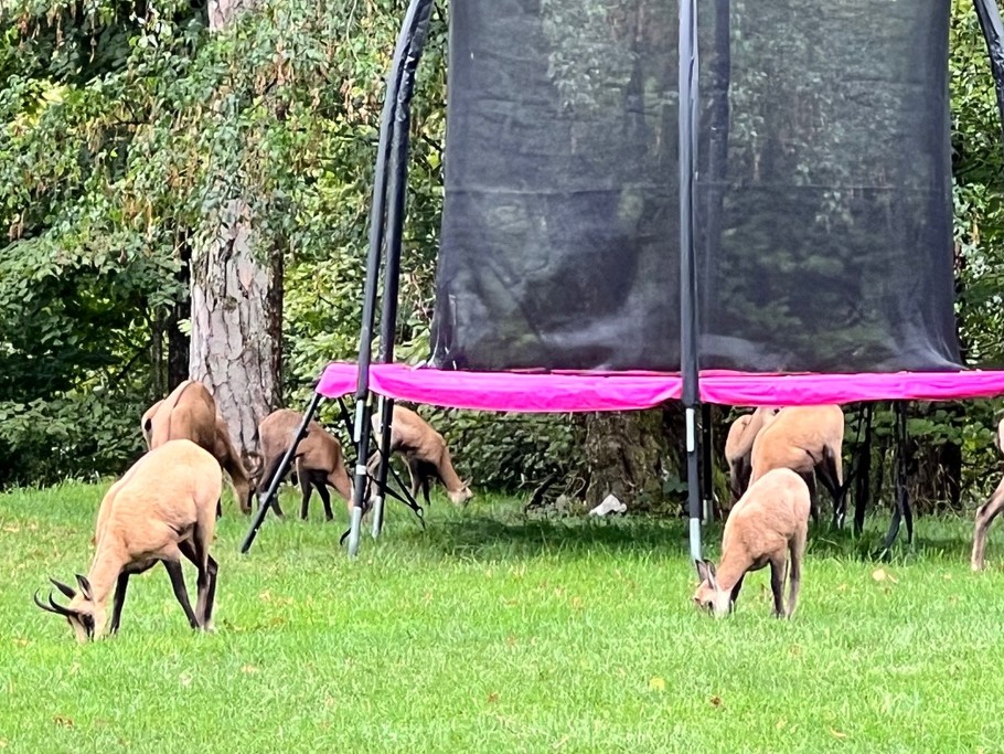 Photo n° 15 de la location