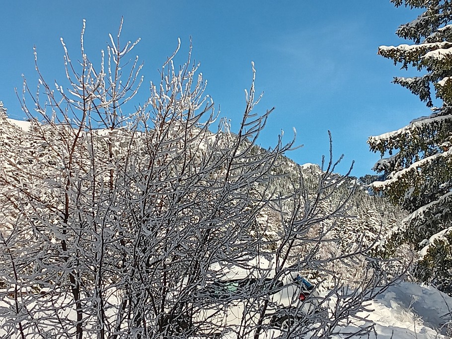 View from the balcony