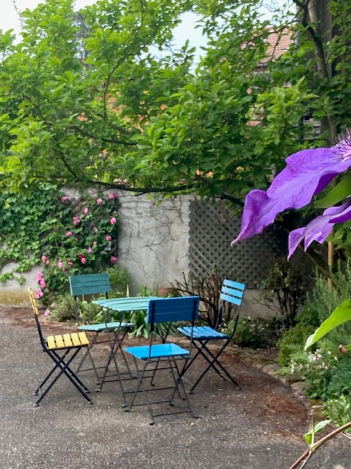 Salon de jardin sous le magnolia