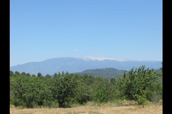 Photo n° 15 de la location