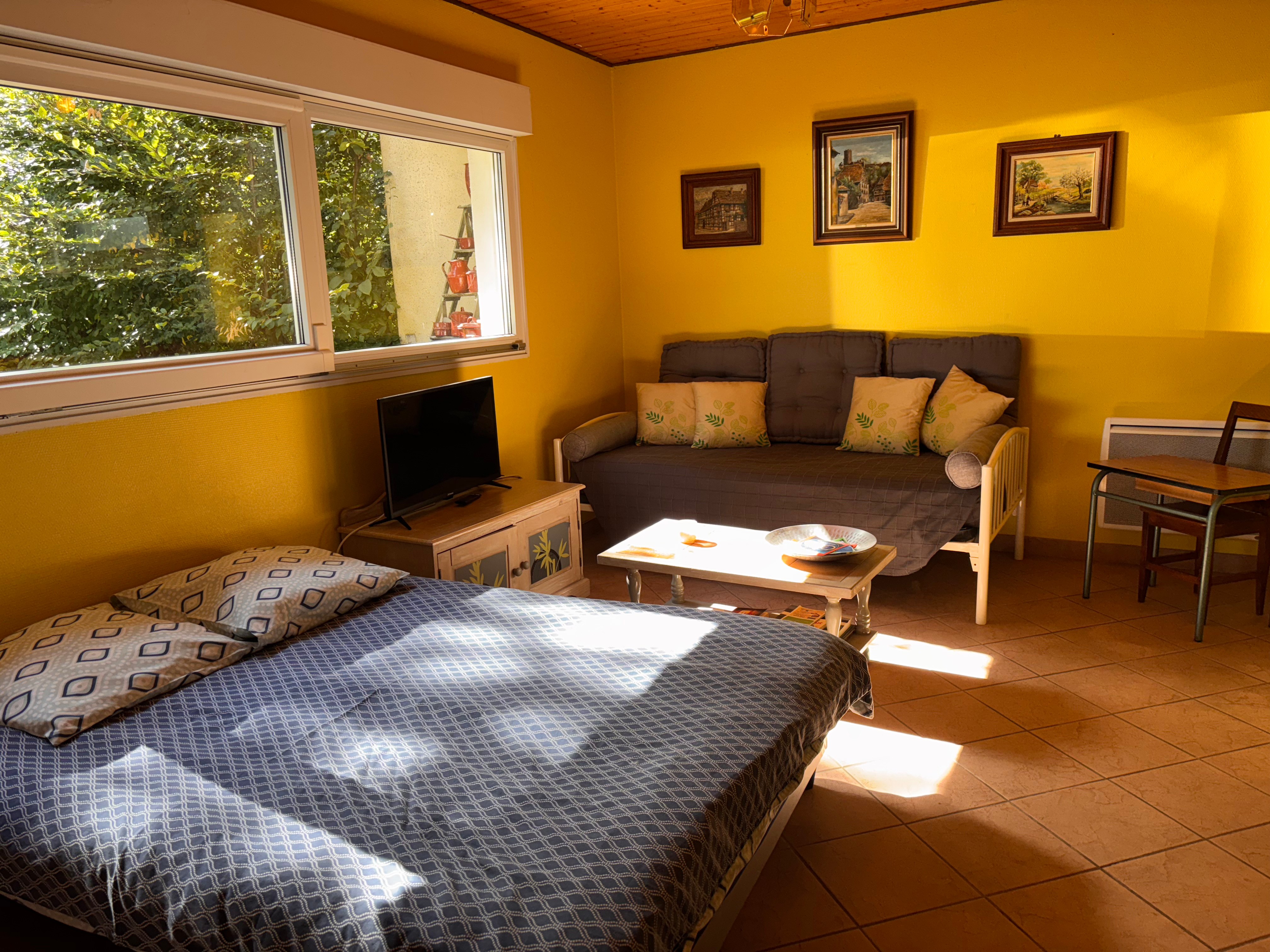 Salon  - Gites de Ban - Studio Ecureuil