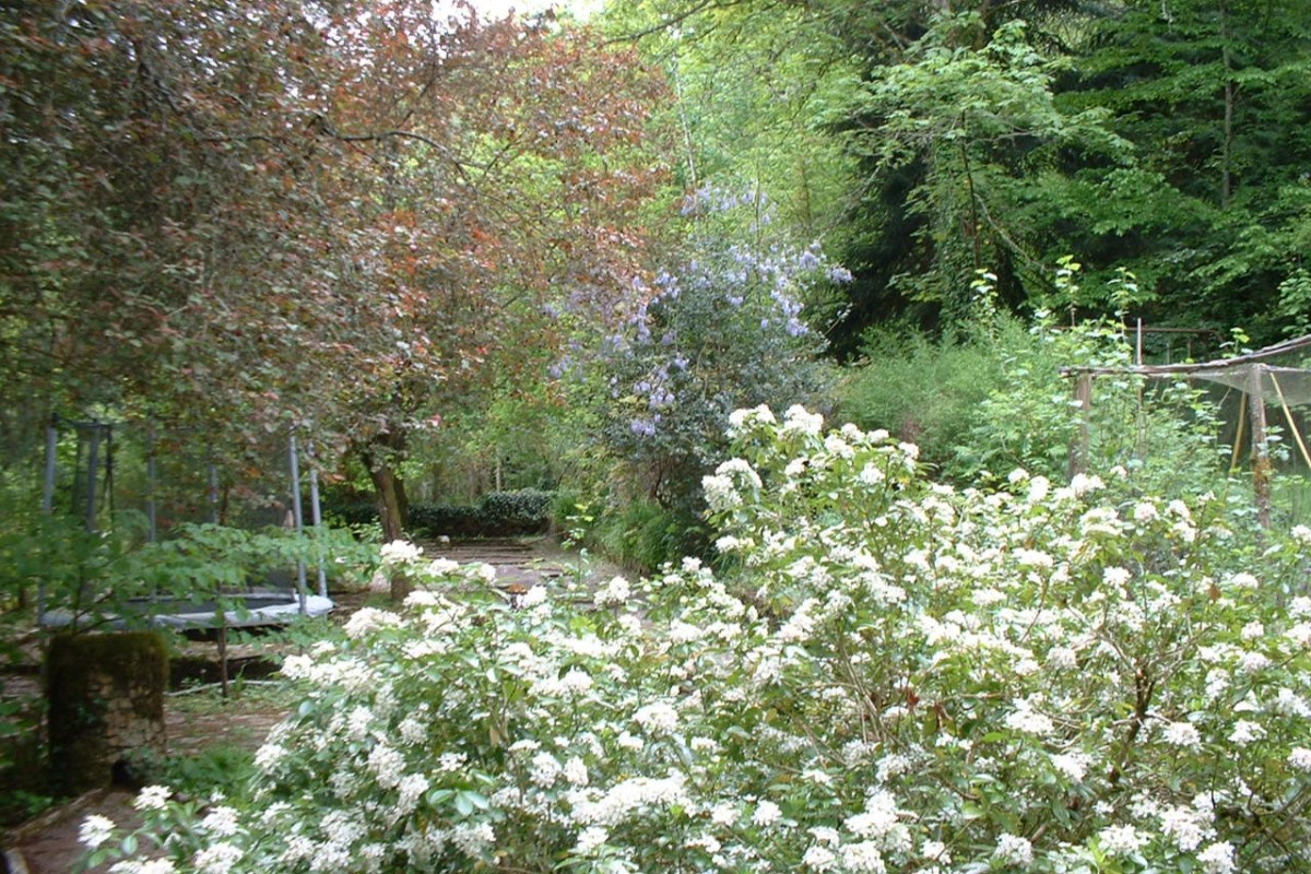 Parc