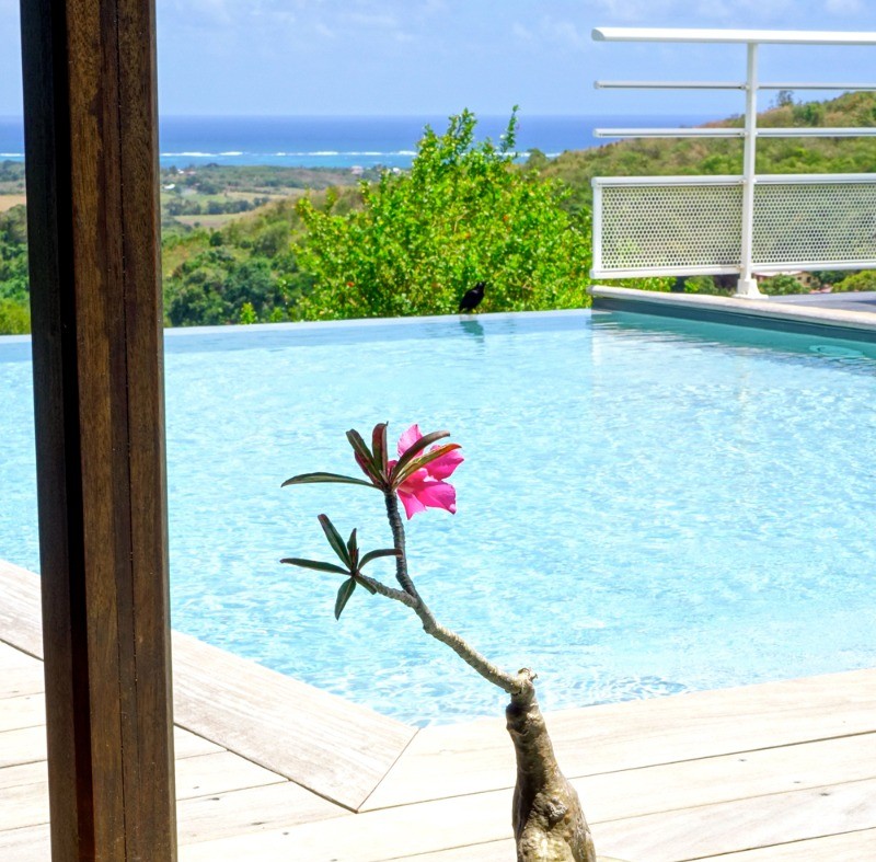 Photo n° 7 of the location