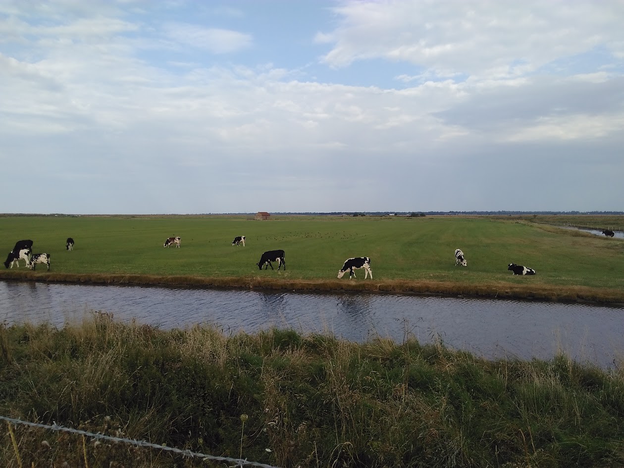 Photo n° 13 de la location