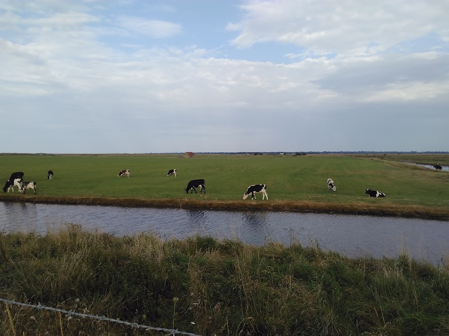 Photo n° 13 de la location