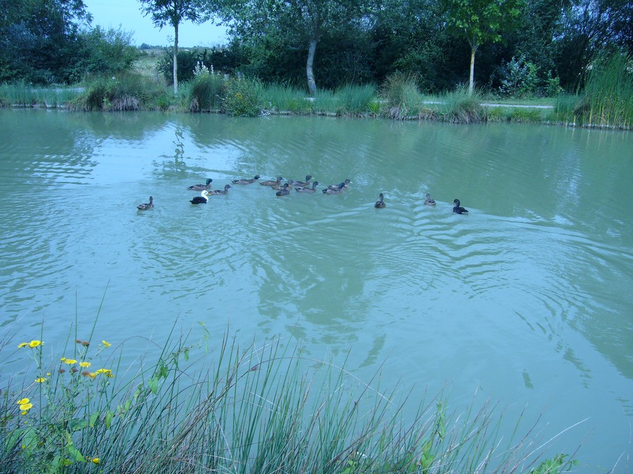 plan d'eau à St Michel