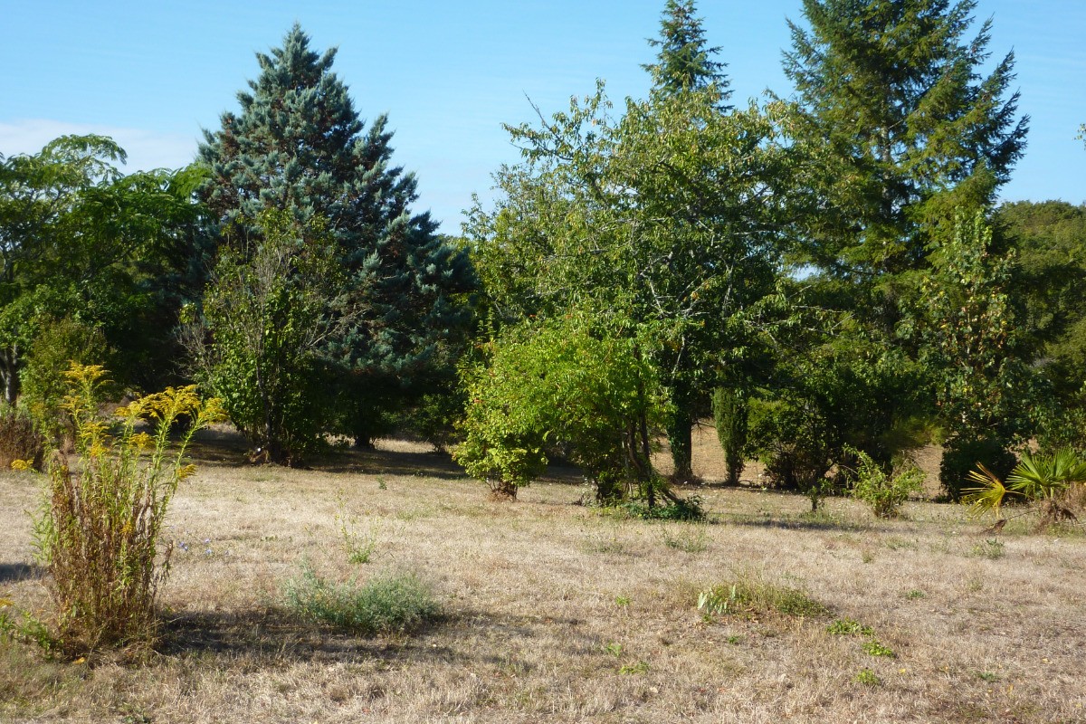 Photo n° 10 de la location