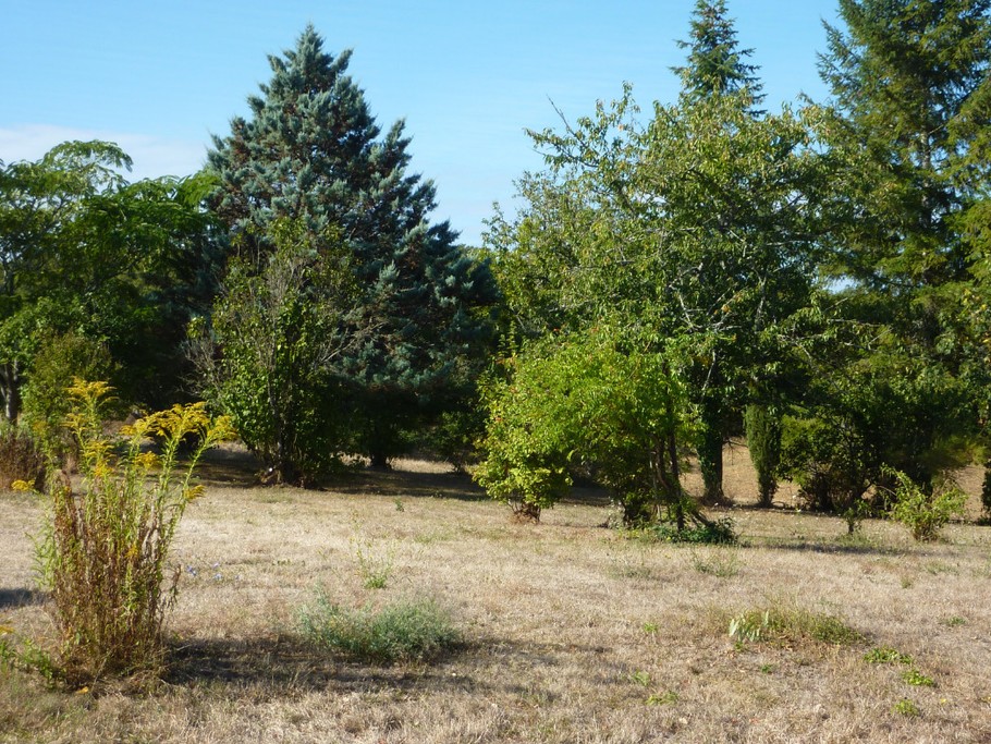 Photo n° 10 of the location