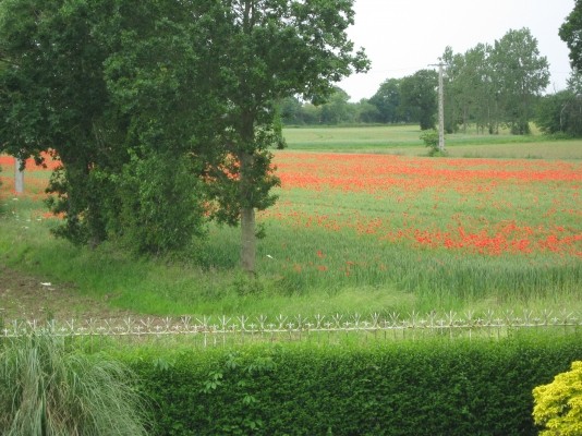 Photo n° 7 de la location
