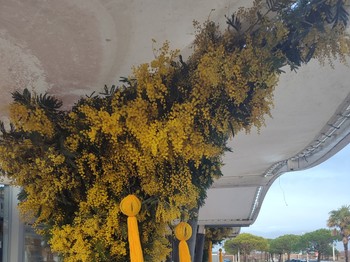 Photo n° 40 of the location