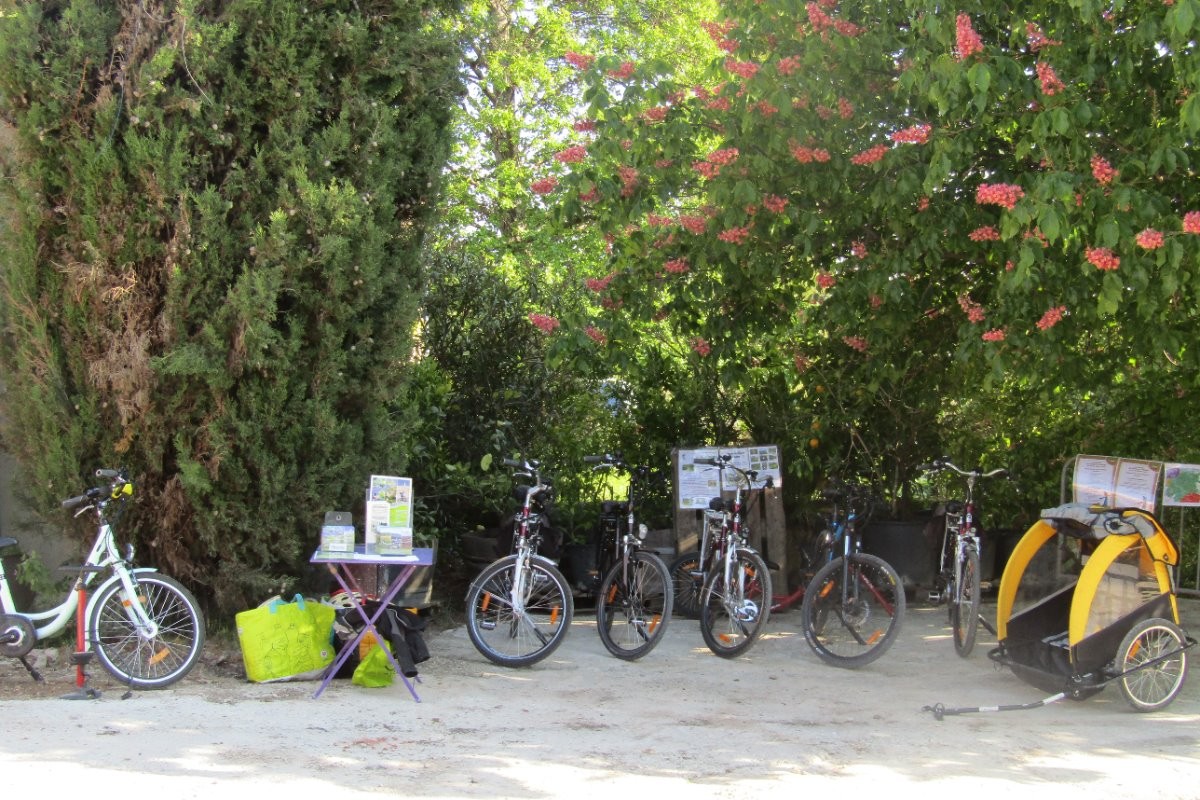 Location vélos avec assistance électrique et possibilité circuits guidés toux niveaux