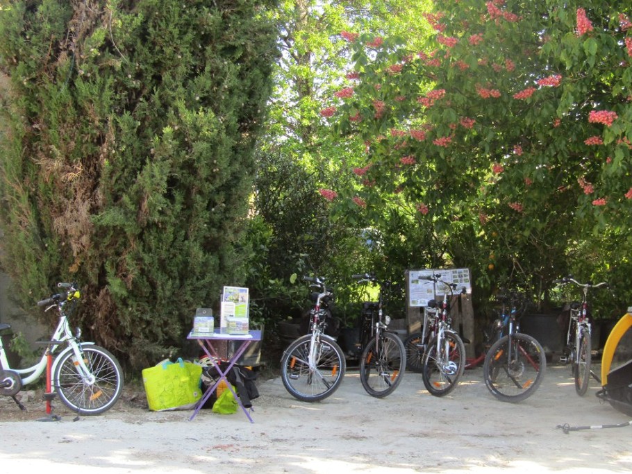 Location vélos avec assistance électrique et possibilité circuits guidés toux niveaux