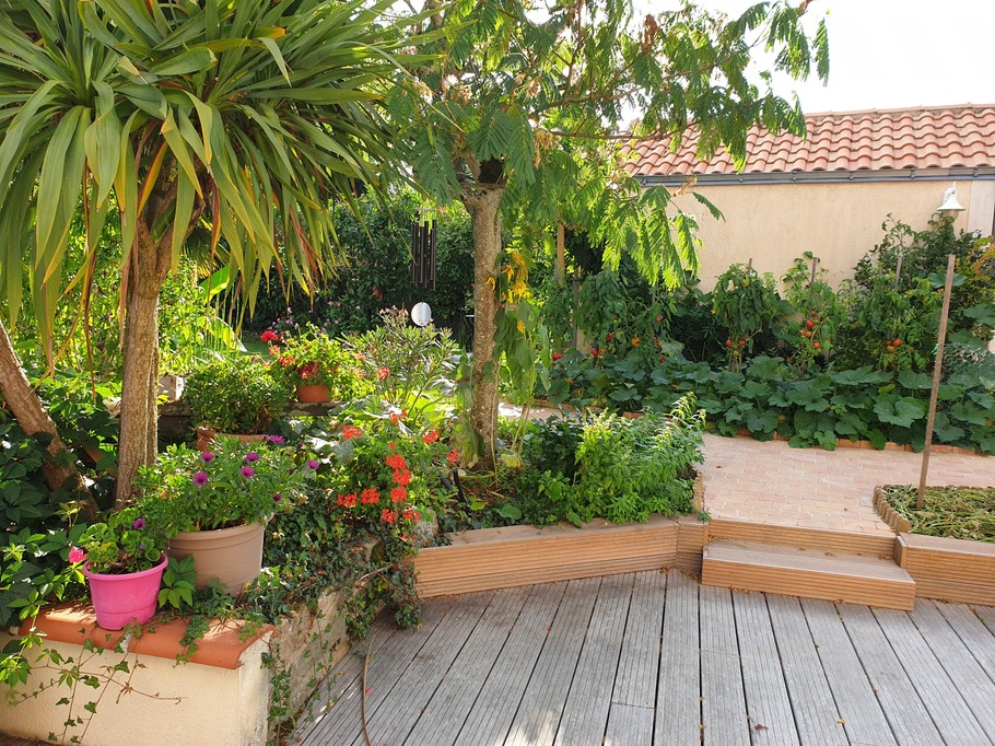 Photo n° 1 de la location