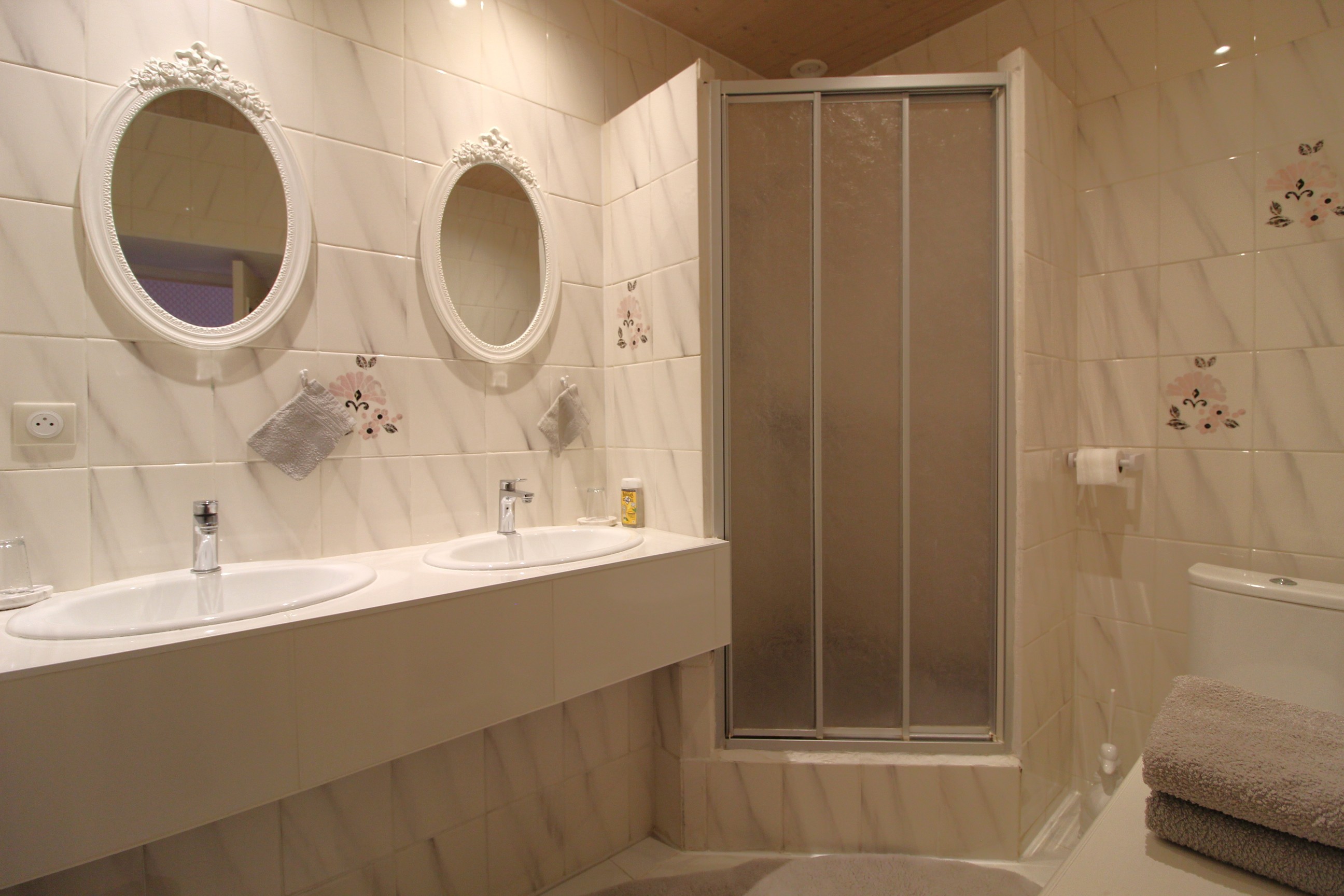 Salle d'eau avec toilettes - Maison d’Hôtes de Charme du XVIIIᵉ siècle, à Maizières