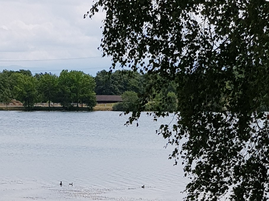 Lac de Divonne