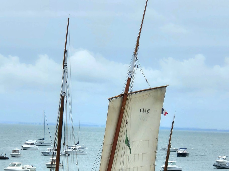 Vue de la terrasse, le port d'attache de la Cancalaise, le vieux grément navigue dans la baie