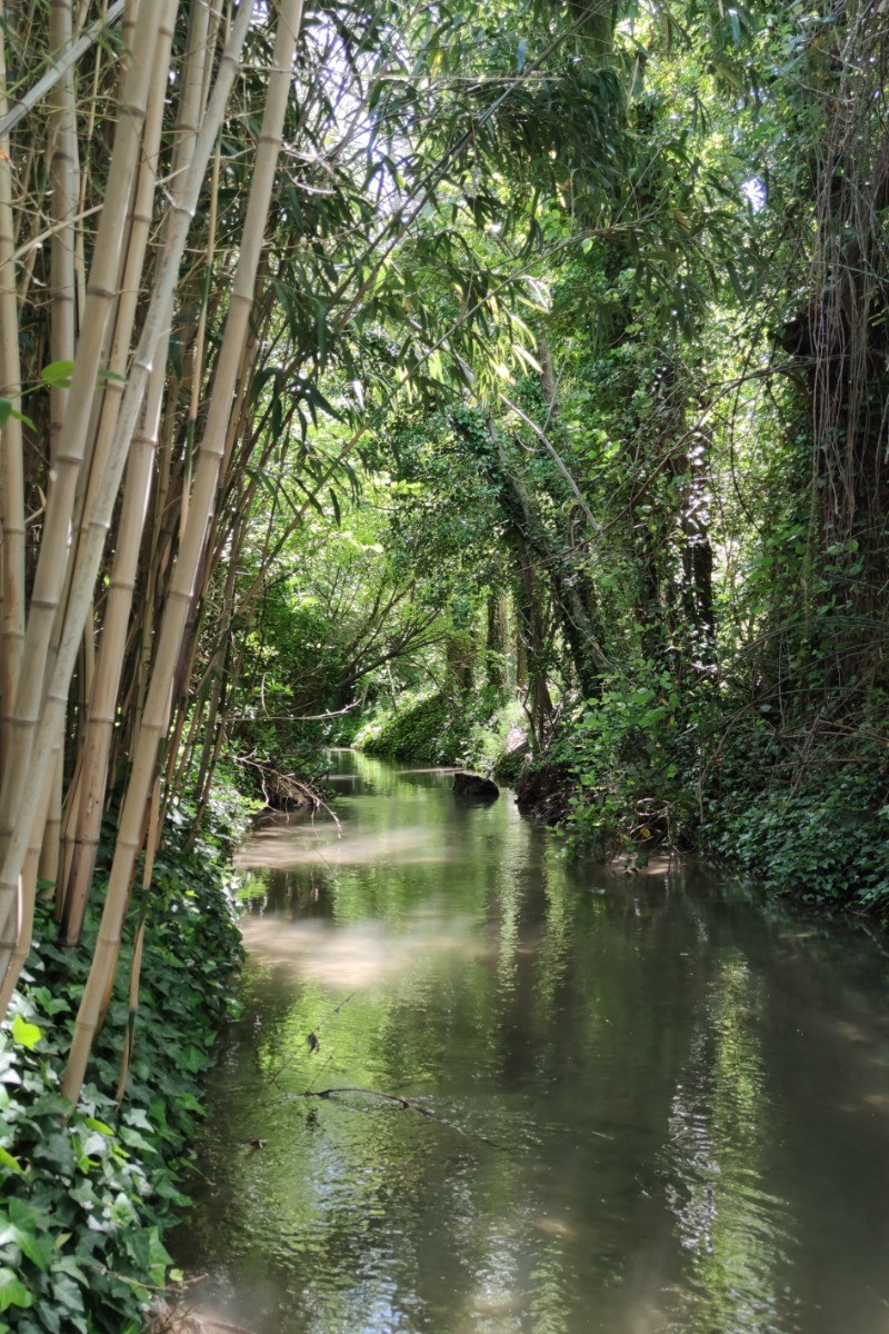 ruisseau au bout du jardin