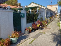 Image n° 3 de la location