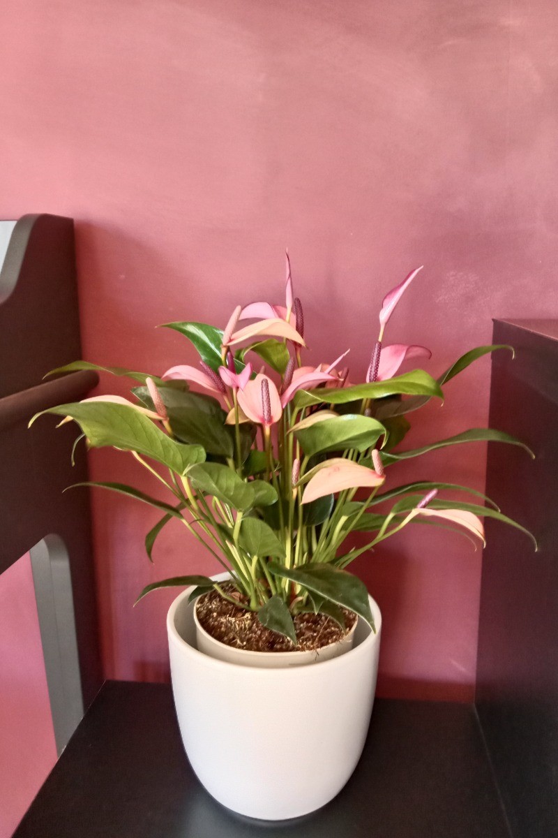 Photo n° 16 de la location