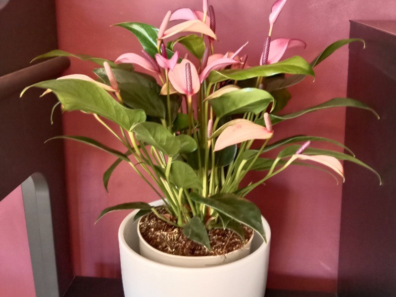 Photo n° 16 de la location