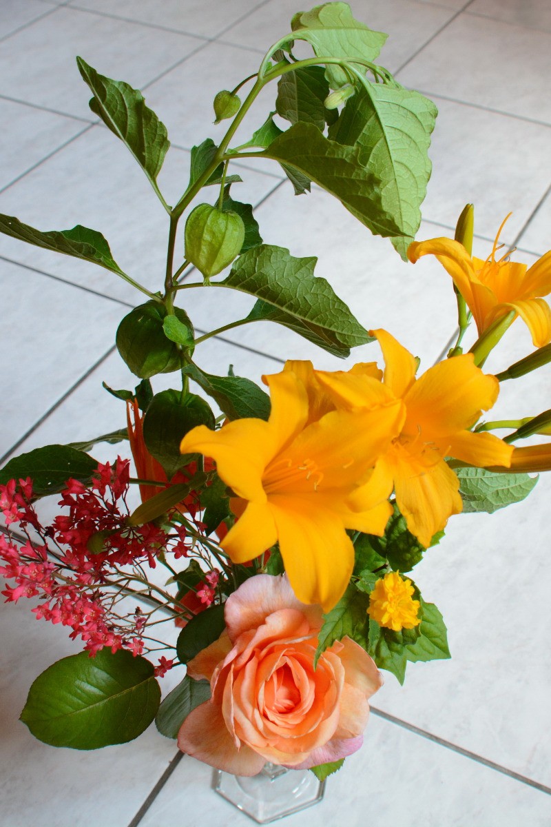 Fleurs du gîte