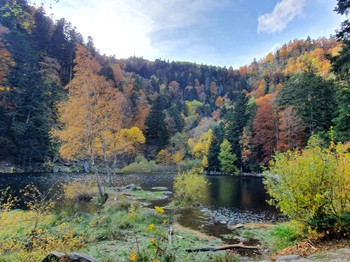 Chalet Ecureuil - Les alentours