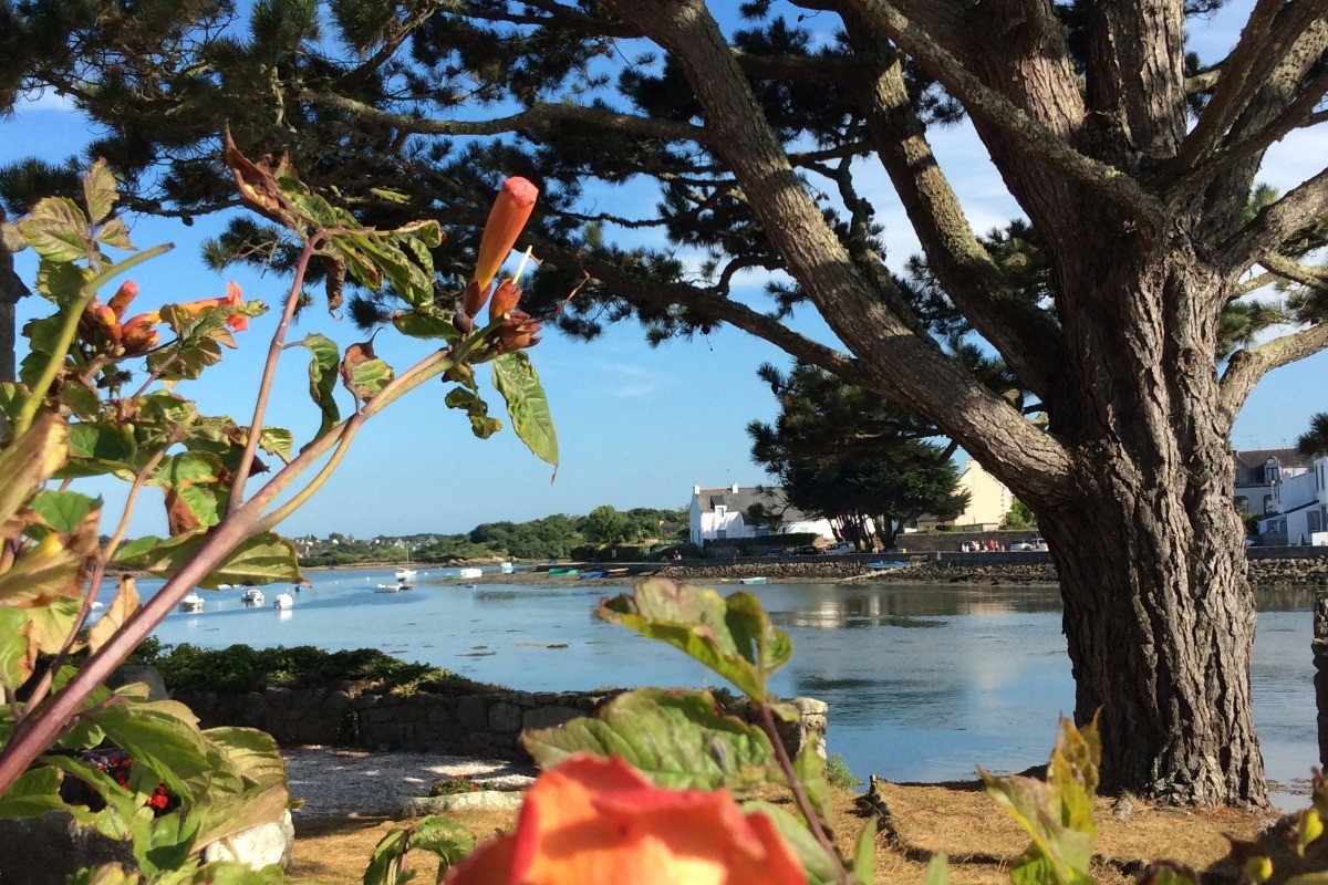 Petite vue de La Presqu'ile de St Cado