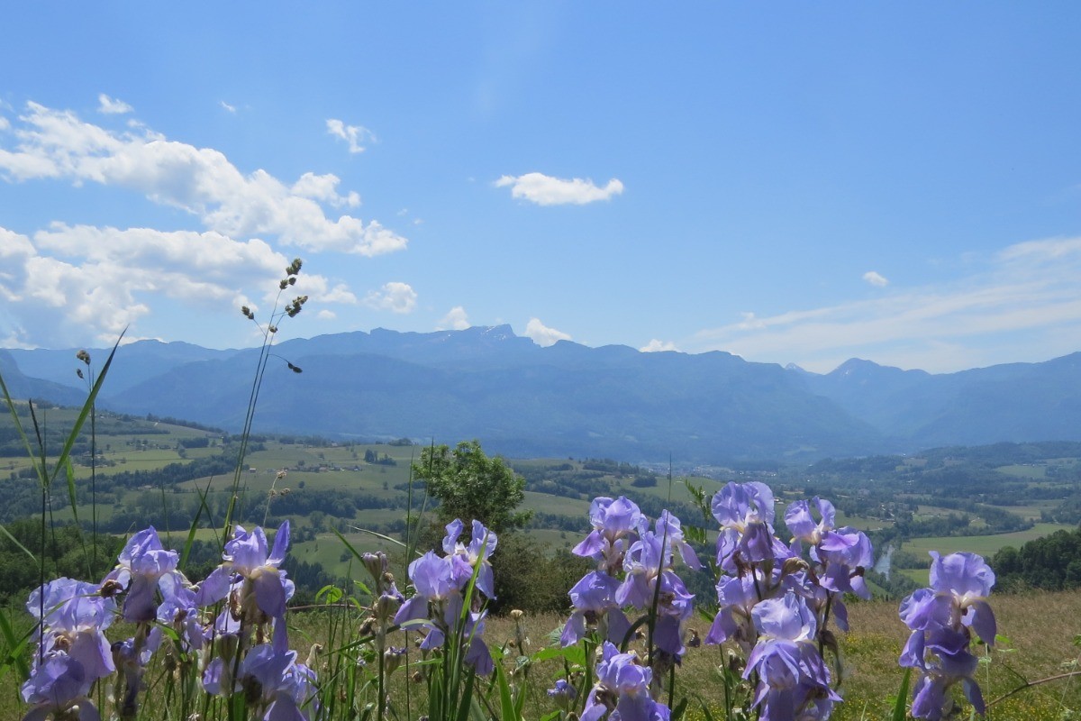 Photo n° 11 of the location