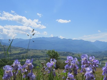 Photo n° 11 de la location