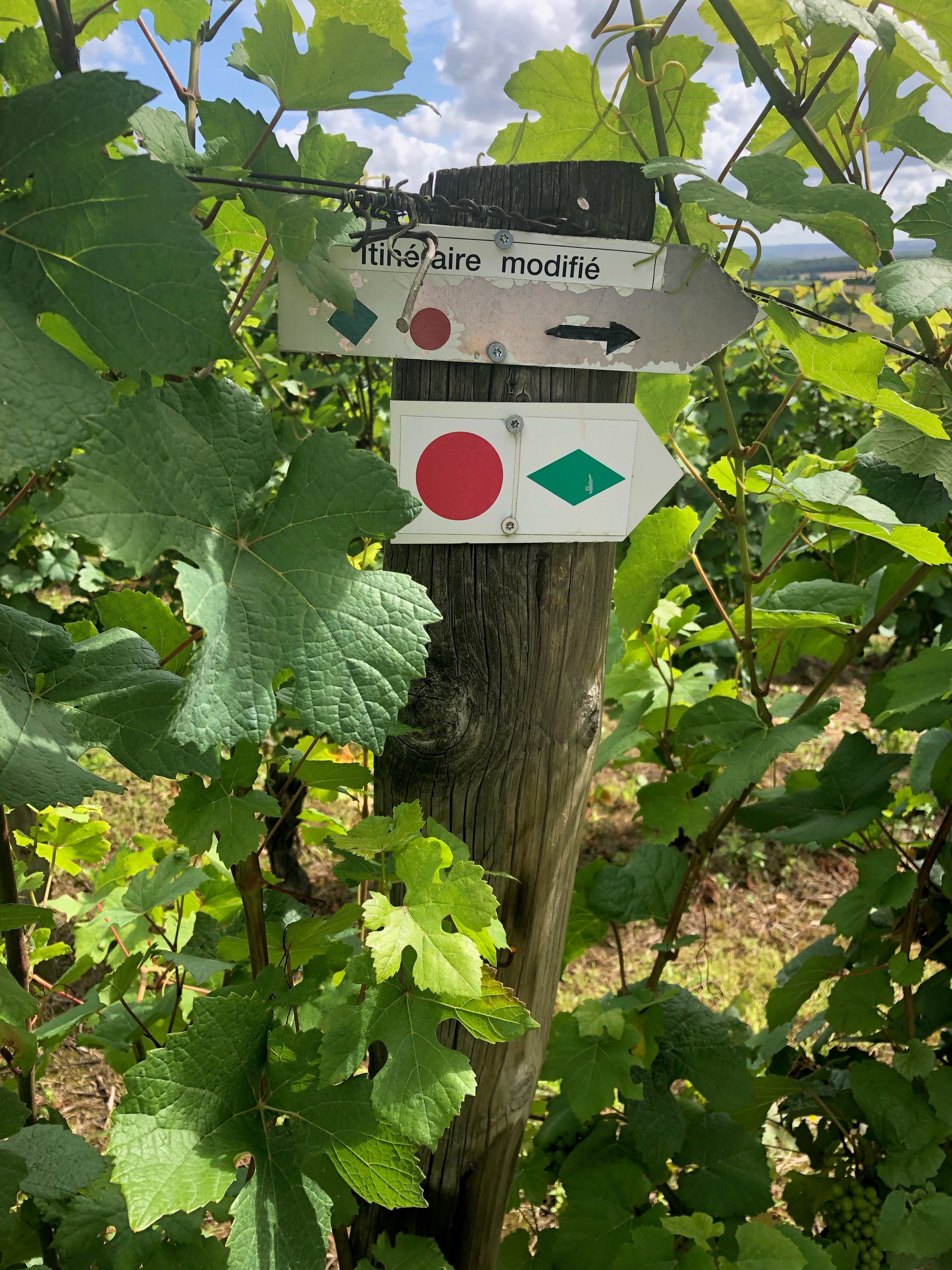 balade rando - Gite des Vignes