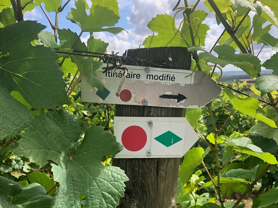 balade rando - Gite des Vignes