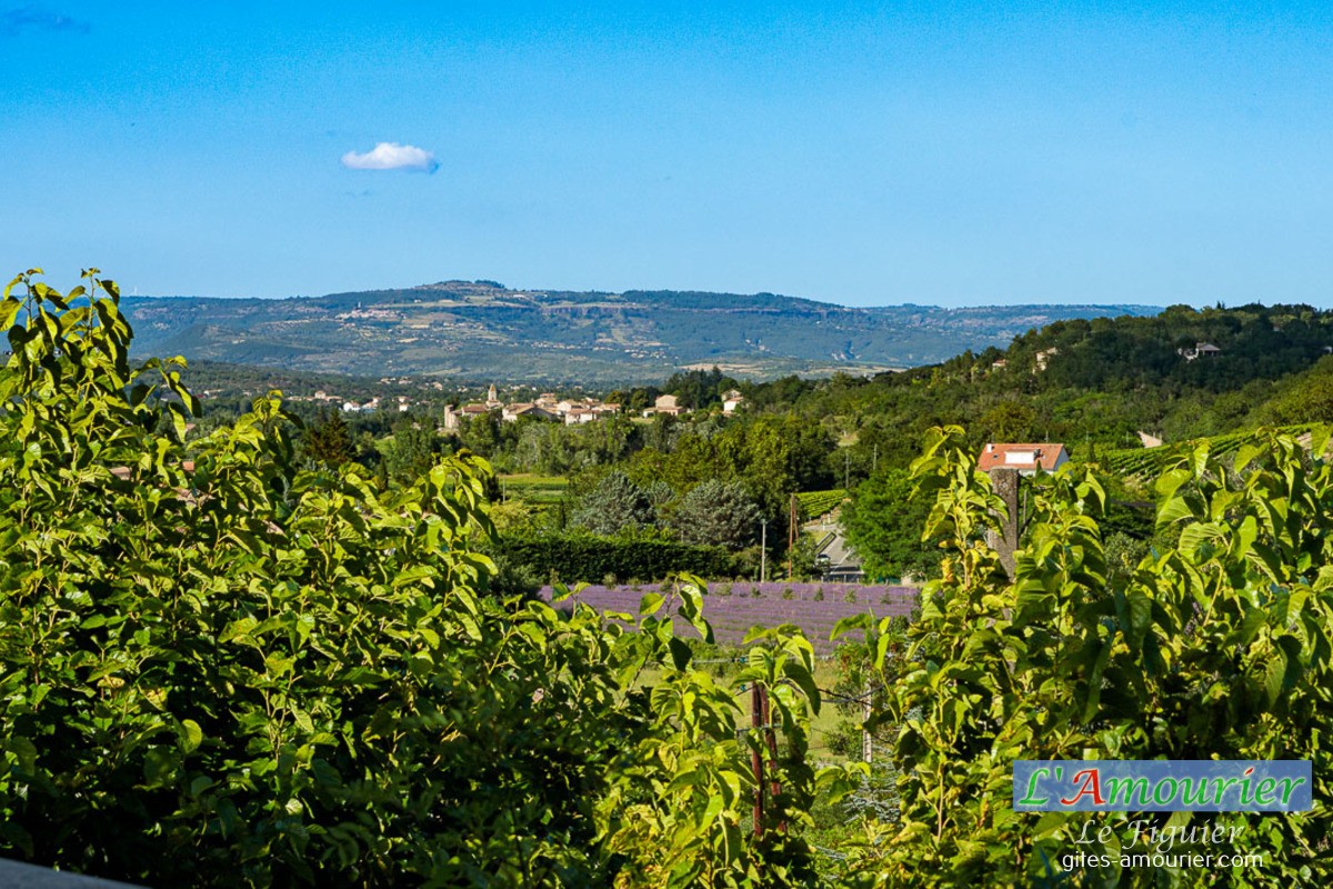 Photo n° 14 of the location