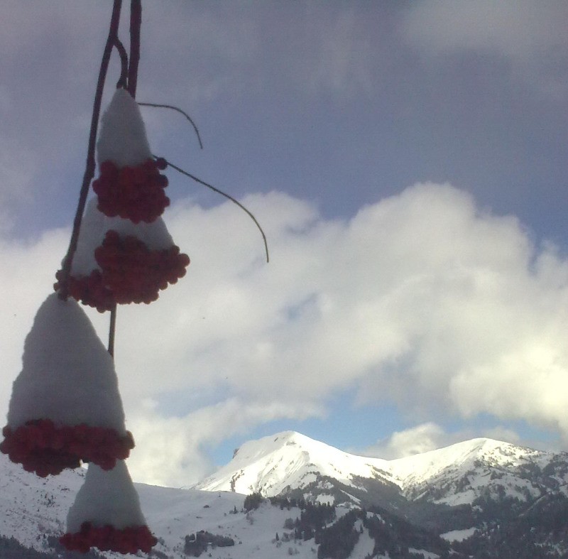 vue sur le village et le chalet "le grand nant"en bas à droite