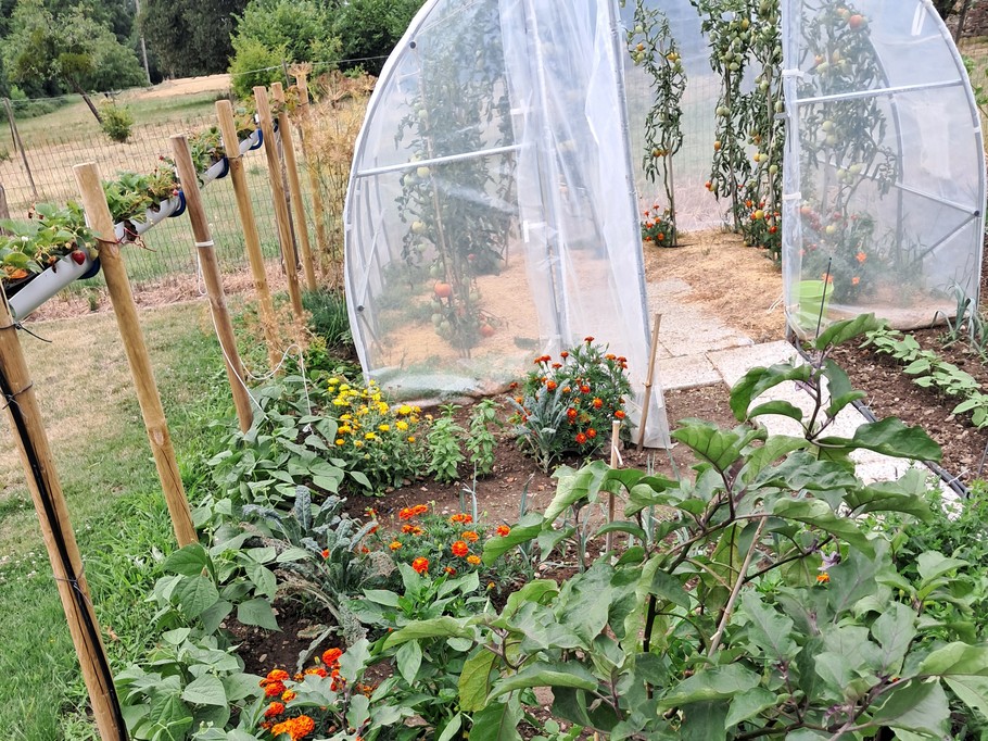 Le potager