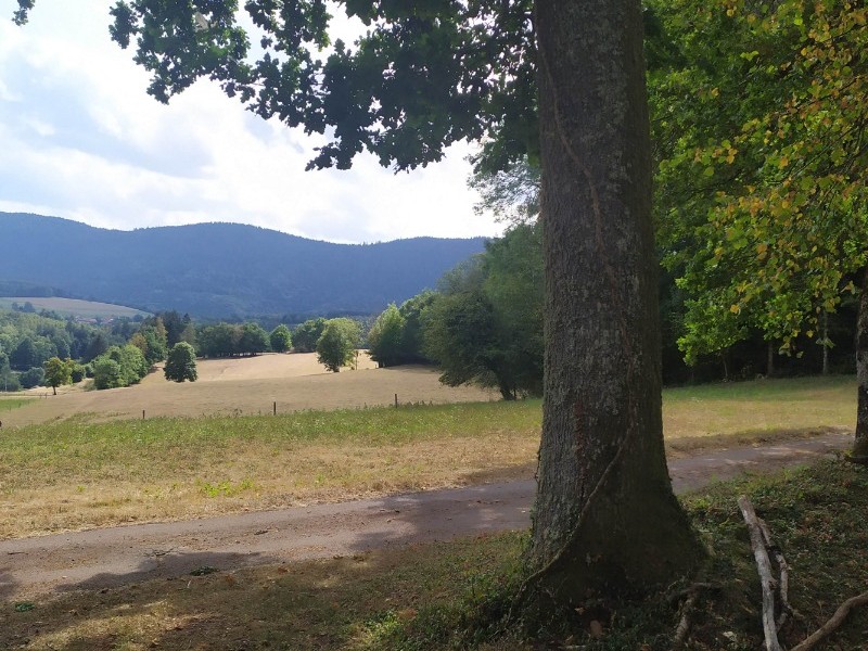 Pic nique à 5 minutes - Gite du pré Bouquin