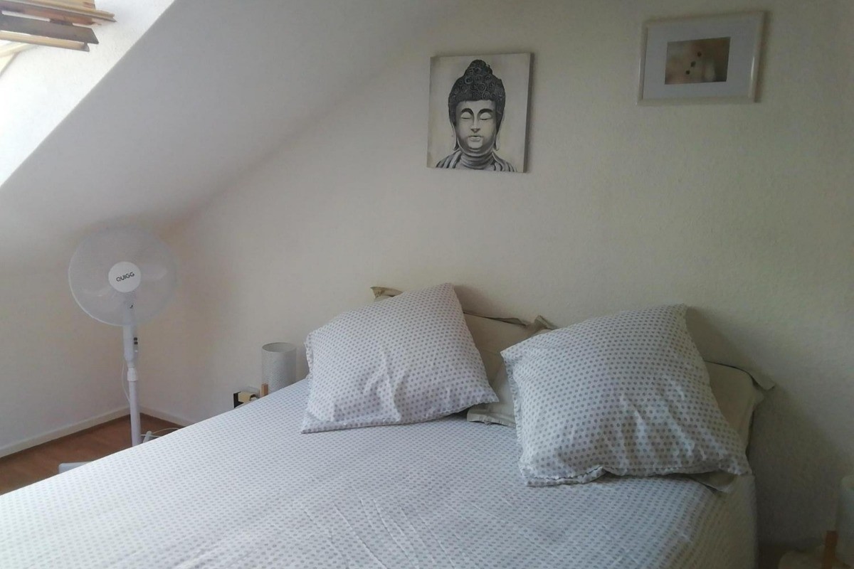 Photo n° 12 of the location