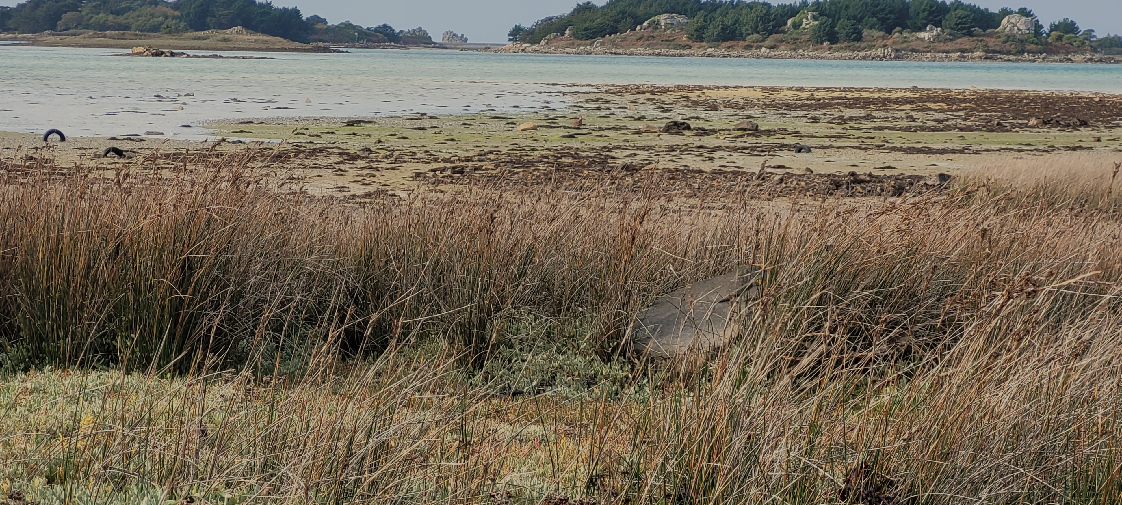 Photo n° 16 of the location