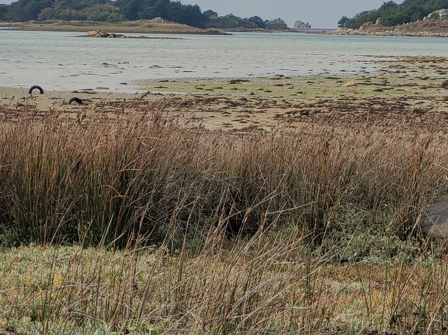 Photo n° 16 of the location