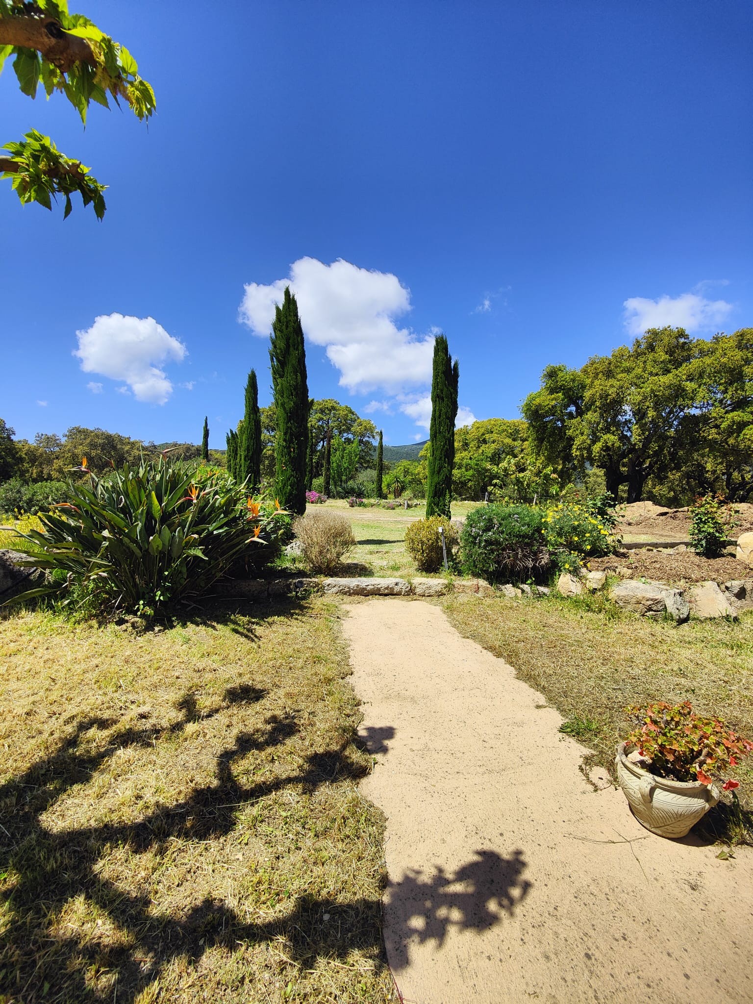 Photo n° 12 de la location