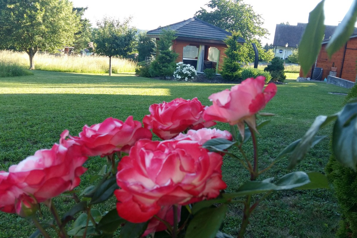 Vue sur "espace détente"