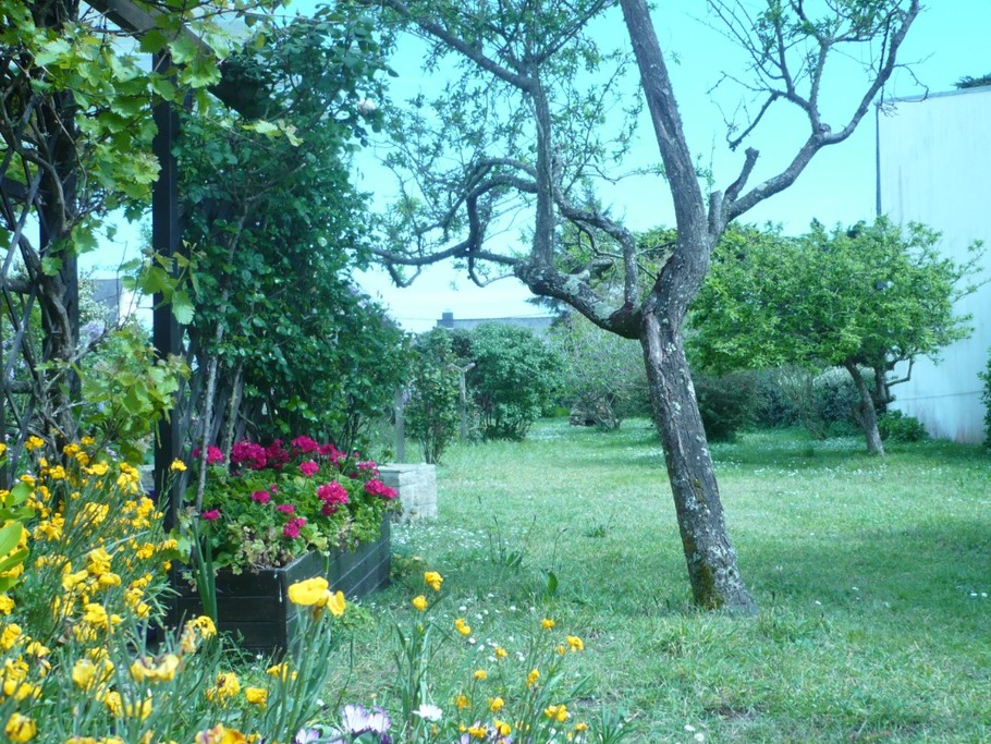 Jardin