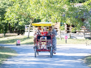 Parc Défi Planet, Dienné, Vienne