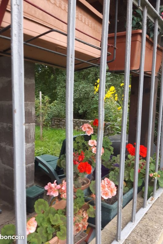 Fleurs terrasse abritée