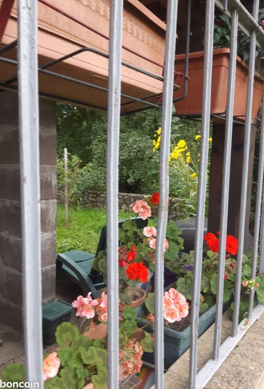 Fleurs terrasse abritée
