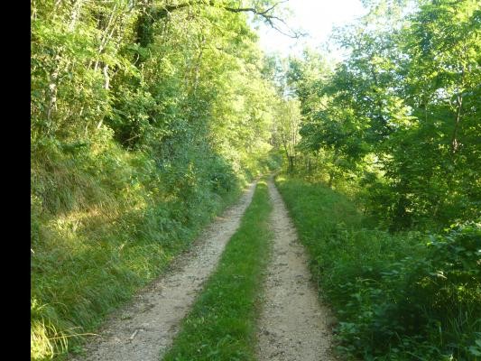 Sentier au-dessus du Musée à CUISIAT