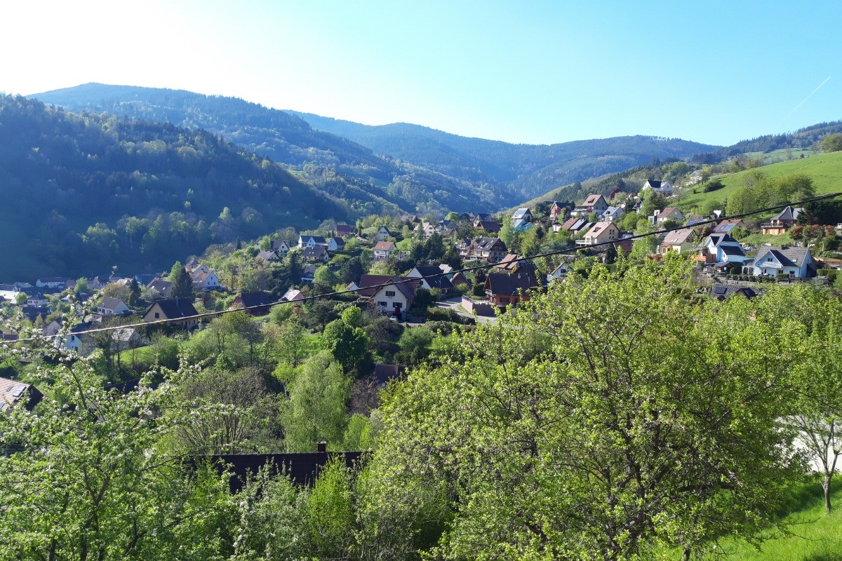 Photo n° 19 de la location