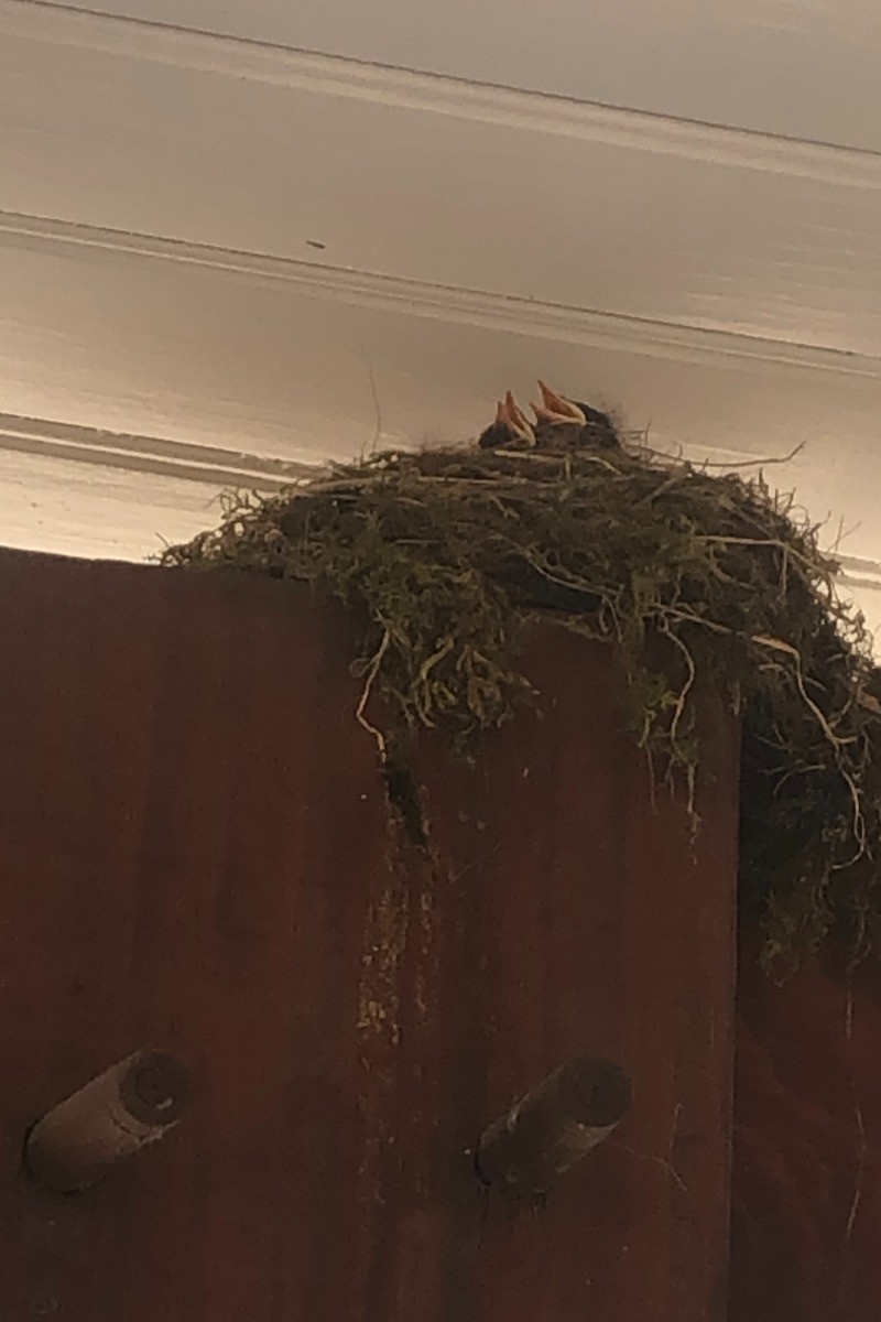 Photo n° 18 of the location