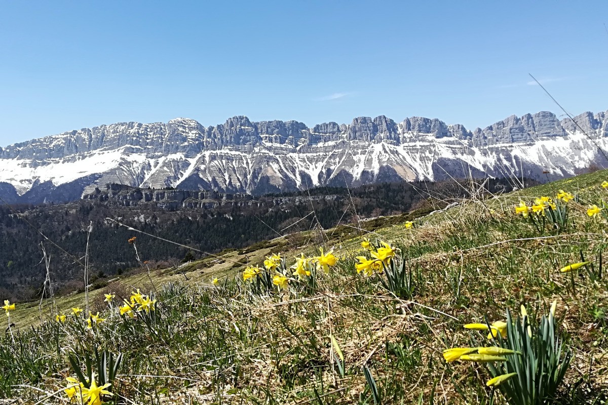 LE PRINTEMPS