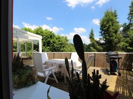 Chez Papy Roger - Terrasse / Barbecue